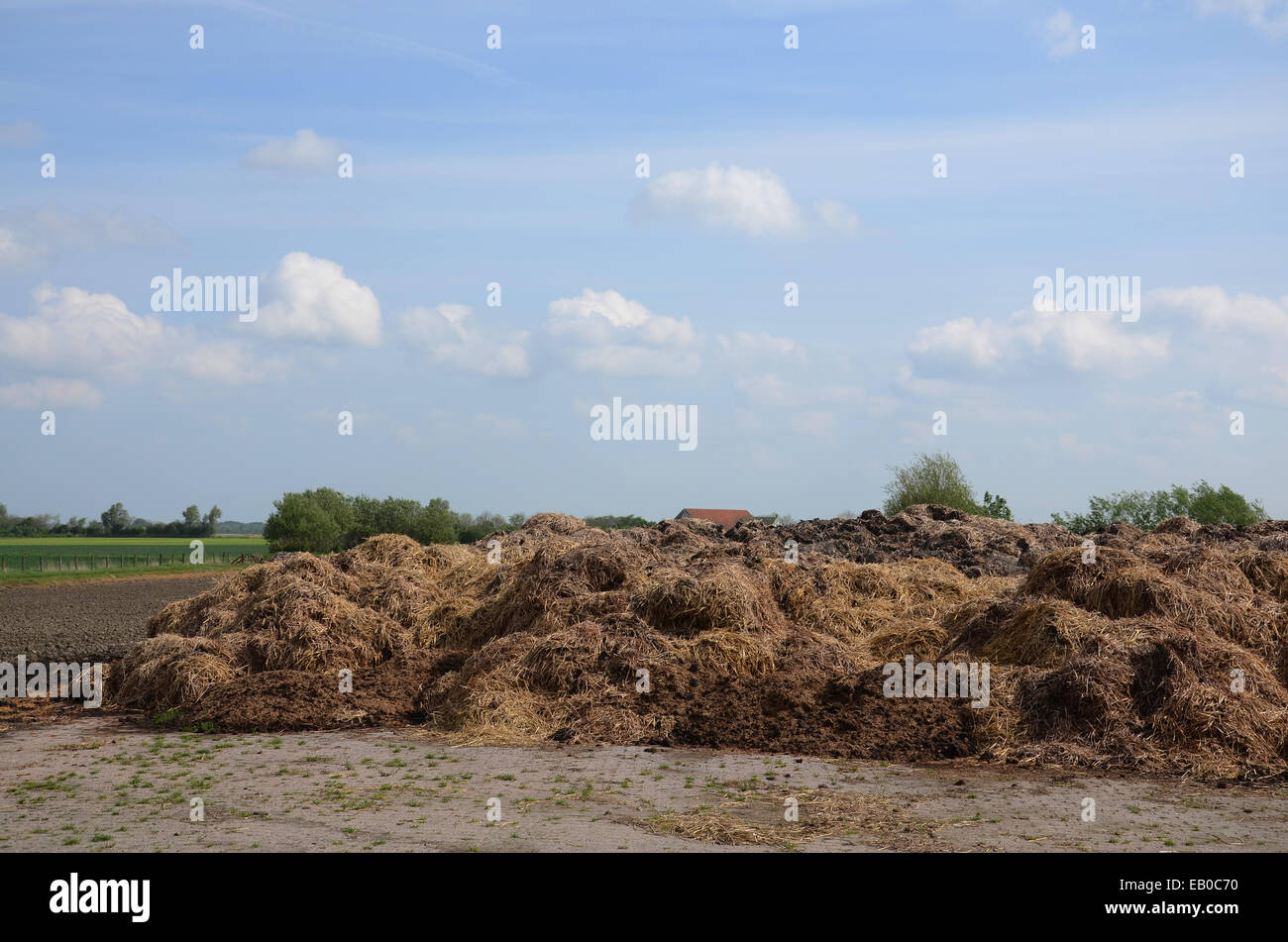 pile of manure to be used as fertilizer Stock Photo Alamy