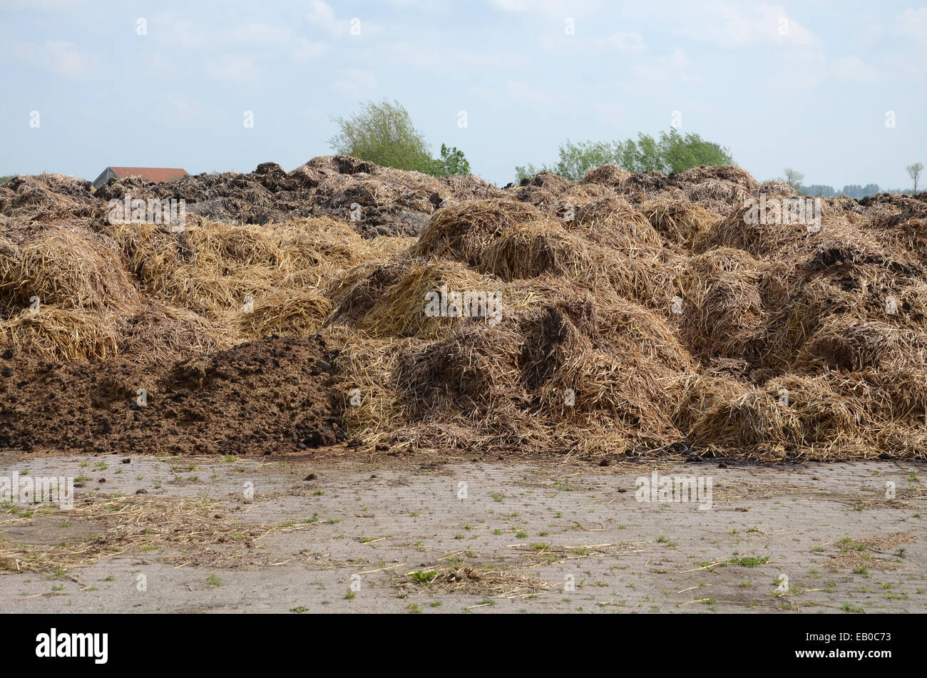 pile of manure to be used as fertilizer Stock Photo Alamy
