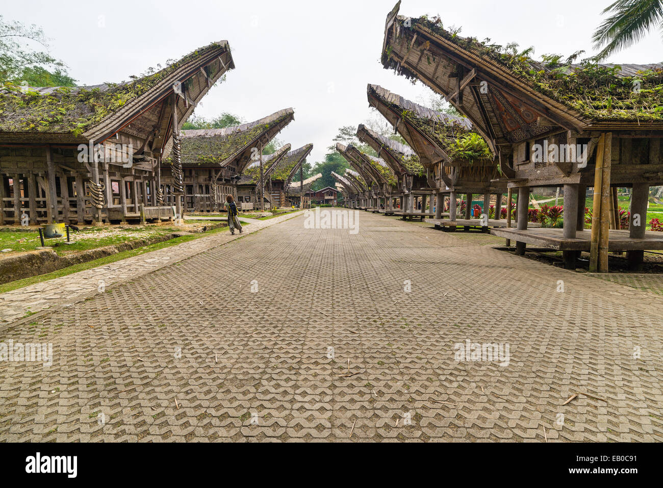 Tourist visiting traditional village with typical boat shaped roofs in Tana Toraja, South Sulawesi, Indonesia. Wide angle shot,  Stock Photo