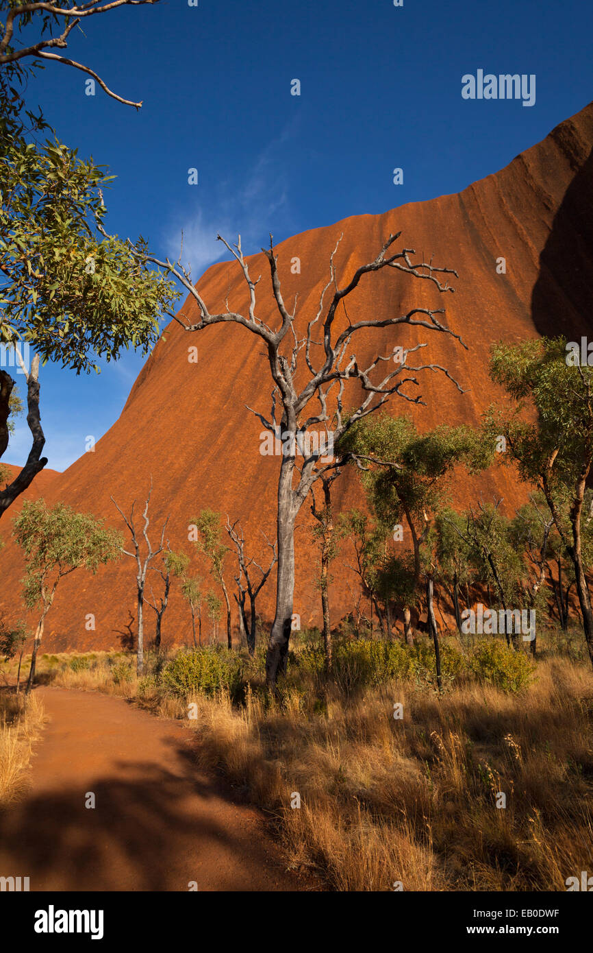 Uluru Kata Tjuta National Park Northern Territory Australia Stock Photo