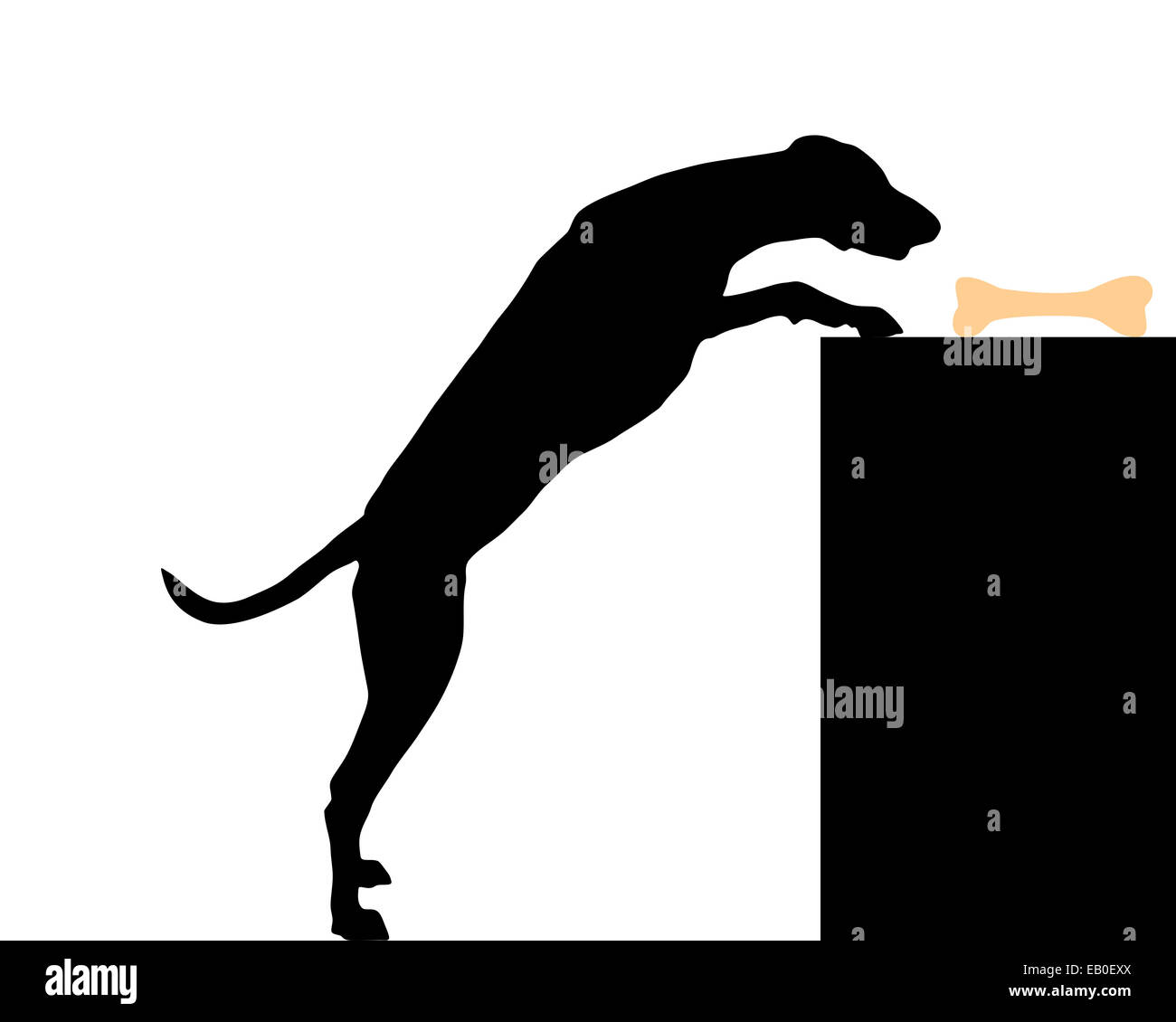 Dog steals bone Stock Photo Alamy