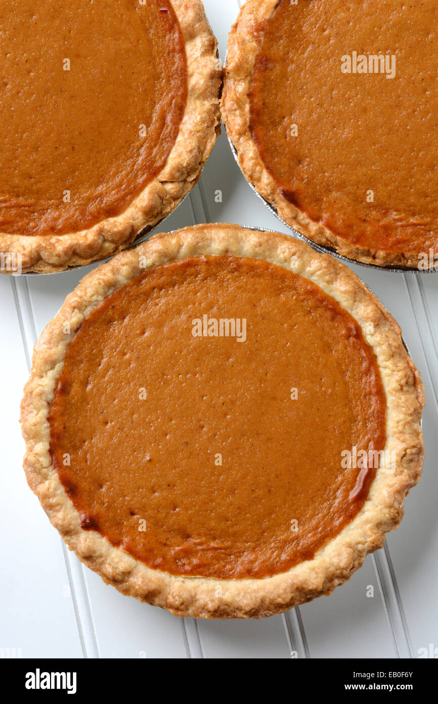 High angle closeup of three fresh baked pumpkin pies. The traditional American dessert - Pumpkin, pie is a Thanksgiving staple. Stock Photo