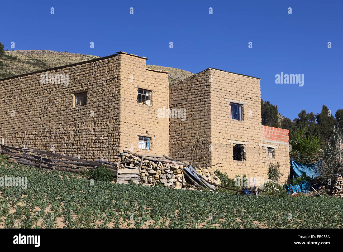 House built of adobe brick in the small town of Yampupata on the tip of the Yampupata Peninsula at Lake Titicaca in Bolivia Stock Photo