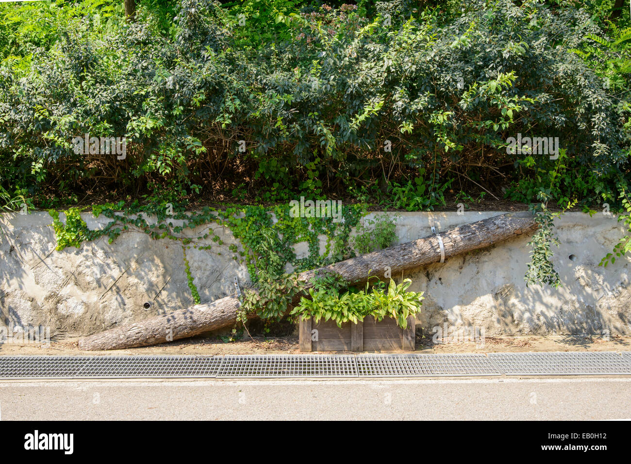 wooden bridge for animals at road side wall Stock Photo