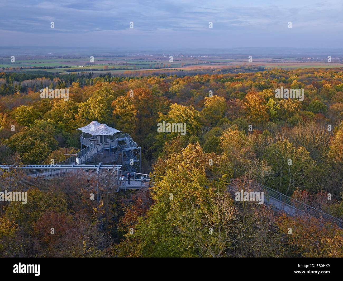 View over the Hainich from the treetop walkway, Germany Stock Photo