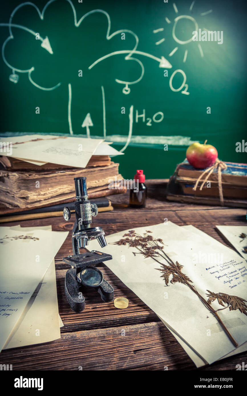 vintage-lesson-biology-and-photosynthesis-stock-photo-alamy