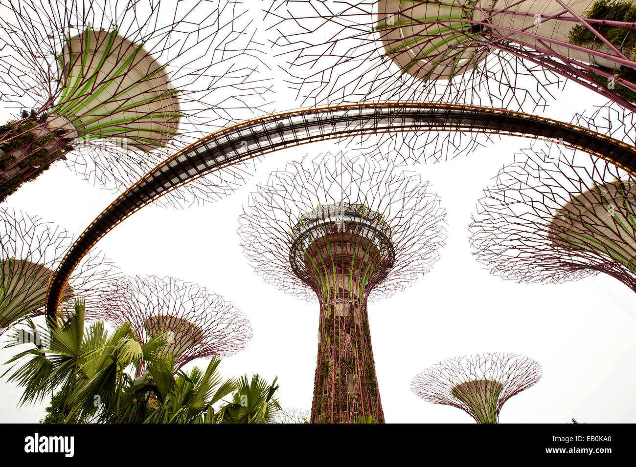 Singapore Artificial Tree Stock Photos & Singapore Artificial Tree