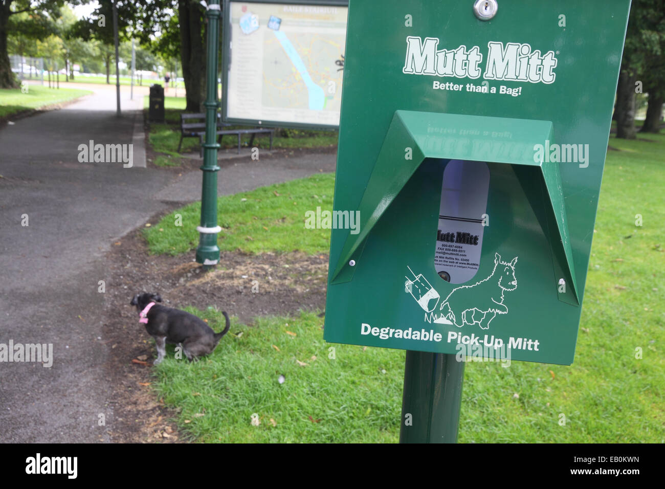 Mutt Mitt: Dog Waste Stations for HOA, Parks, Cities