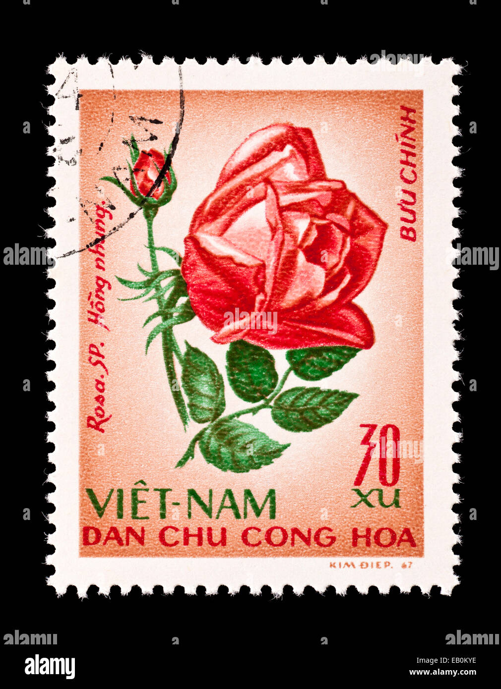 Postage stamp from Vietnam depicting a rose Stock Photo - Alamy