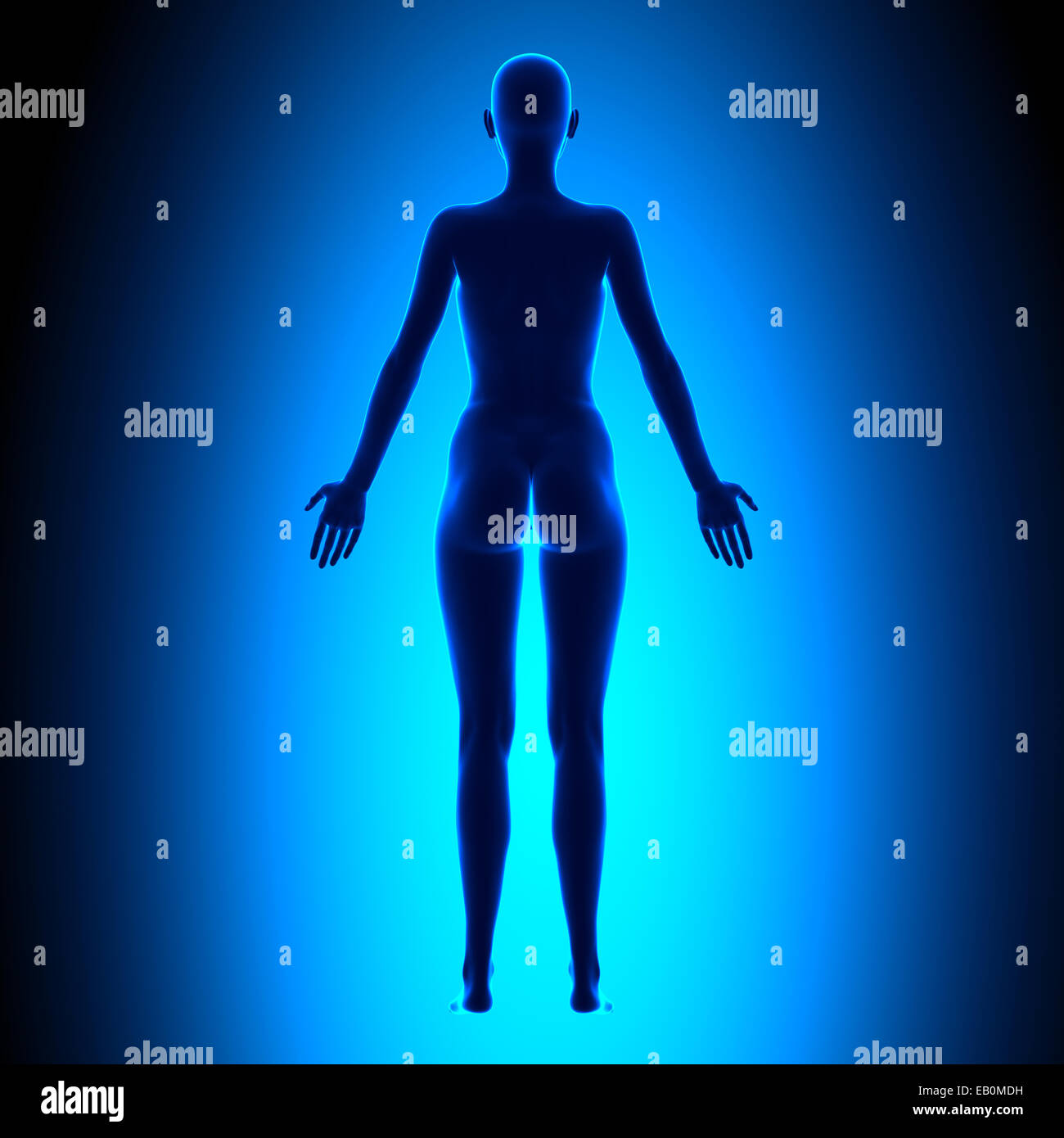 Lexaray Body Full body xray hi-res stock photography and images - Alamy