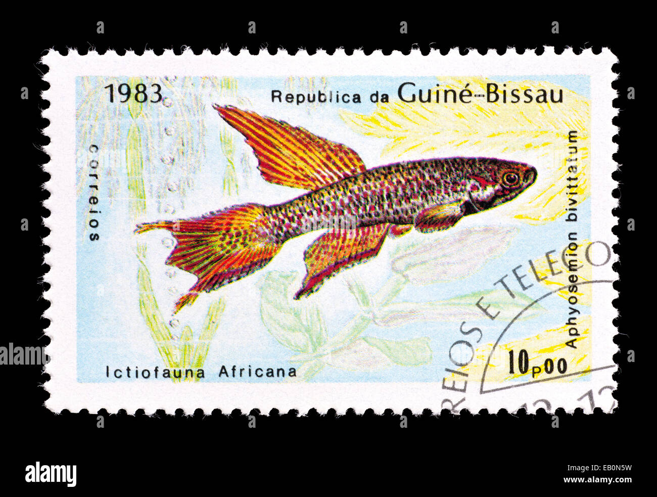 Postage stamp from Guinea Bissau depicting Twostripe Lyretail fish (Aphyosemion bivittatum) Stock Photo