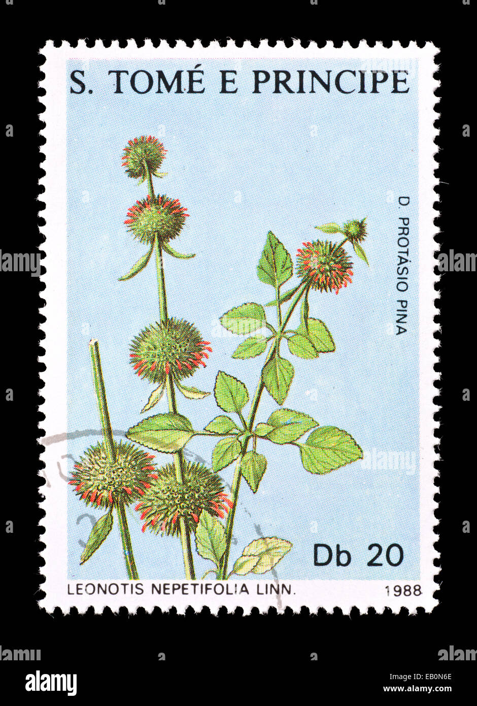 Postage stamp from Saint Thomas and Prince Islands depicting klip dagga or lion's ear (Leonotis nepetifolia) Stock Photo