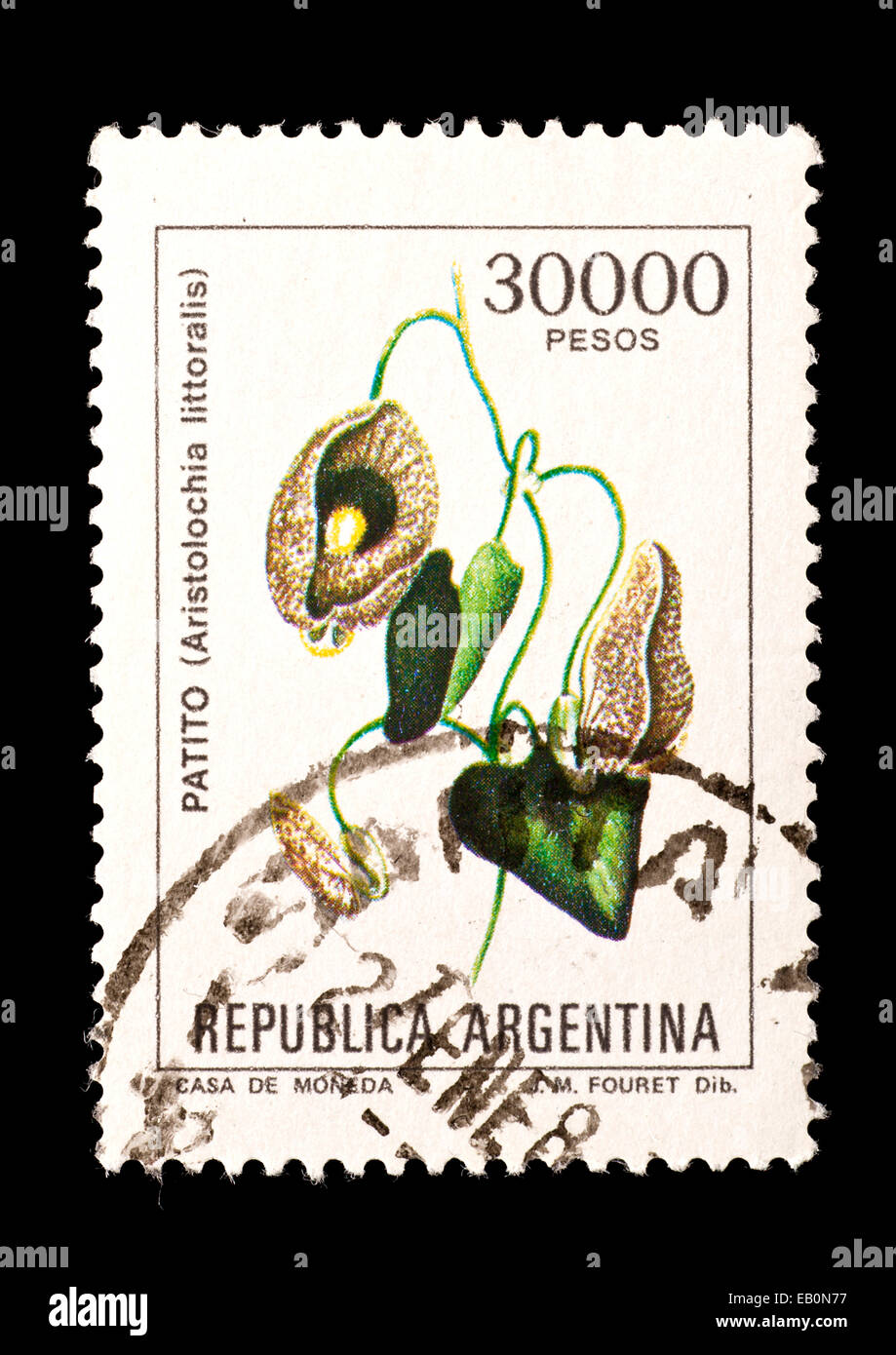 Postage stamp from Argentina depicting calico flower (Aristolochia littoralis) Stock Photo