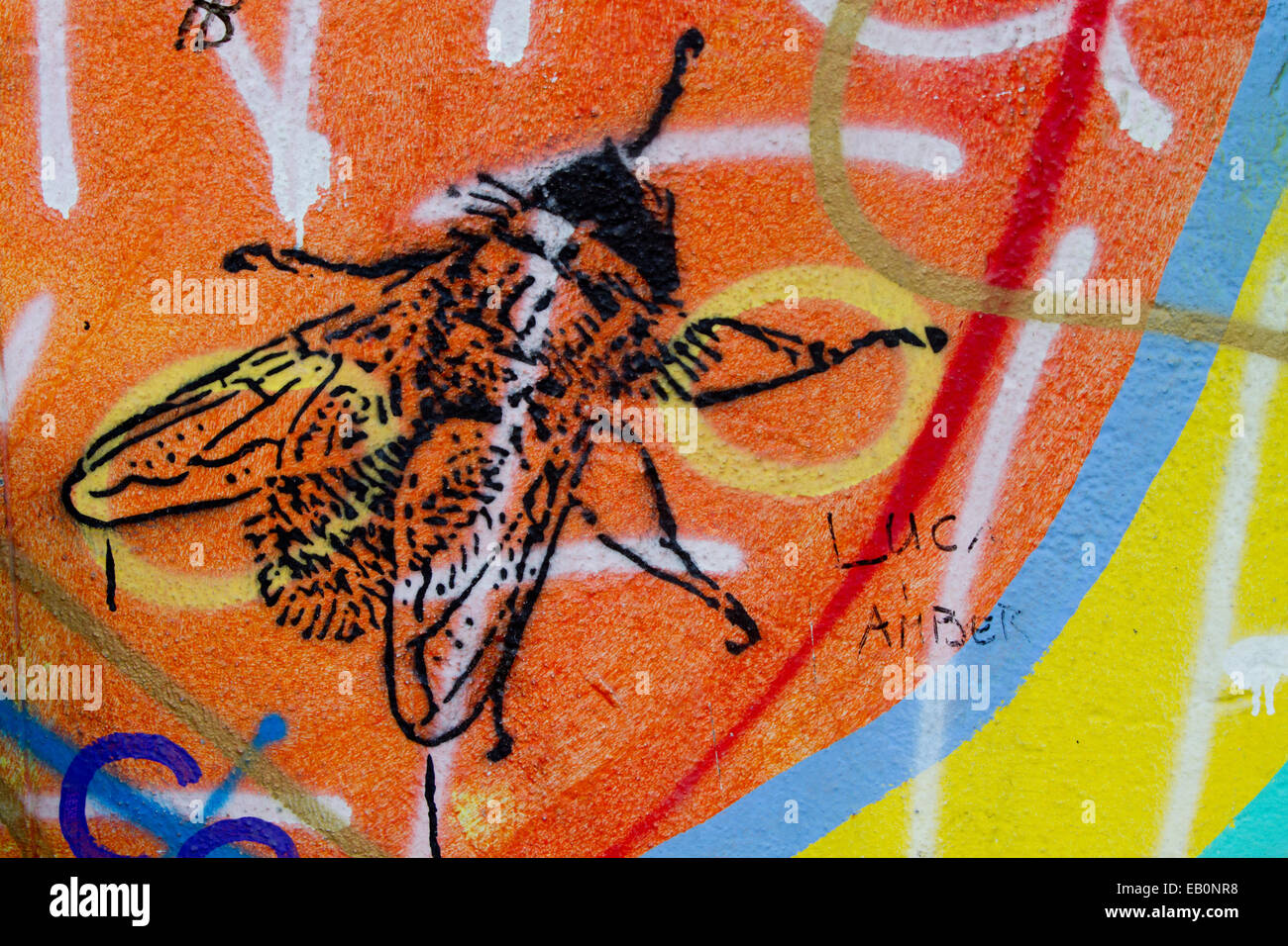 Graffiti street art fly Berlin wall tags urban Stock Photo