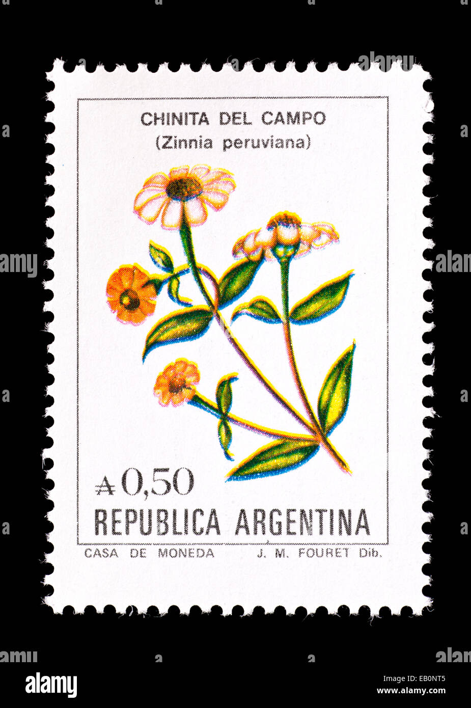 Postage stamp from Argentina depicting Peruvian zinnias (Zinnia peruviana) Stock Photo