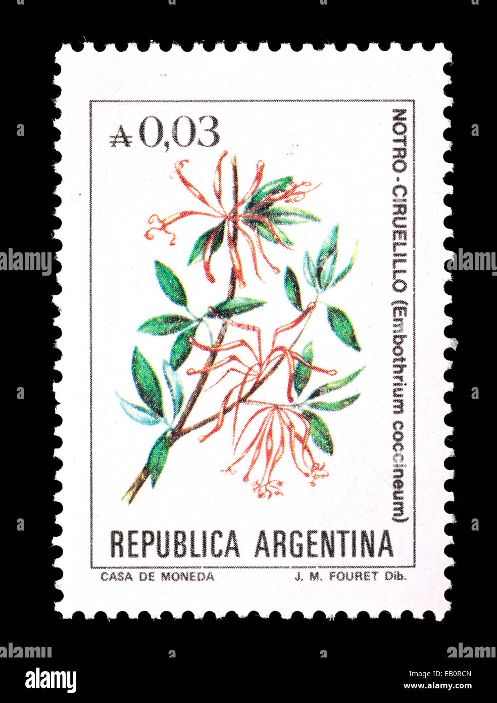 Postage stamp from Argentina depicting Chilean firetree (Embothrium coccineum) Stock Photo