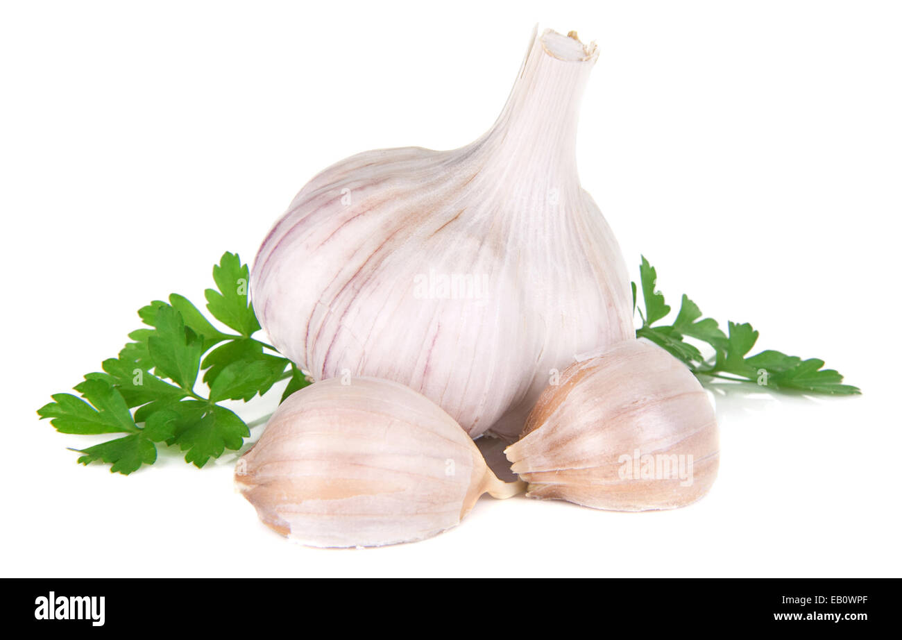 garlic and parsley on isolated white background Stock Photo - Alamy