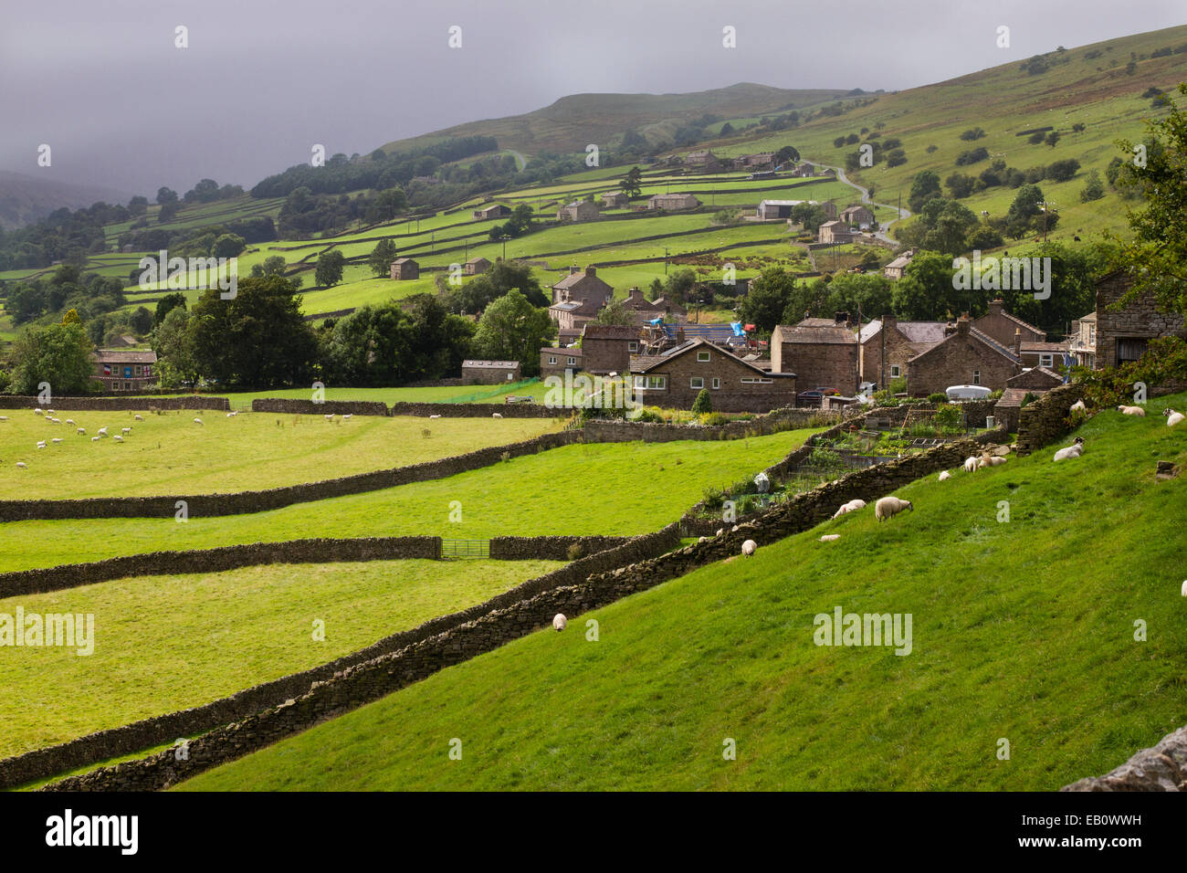 Picturesque Swaledale showing its iconic fields with their dry stone ...