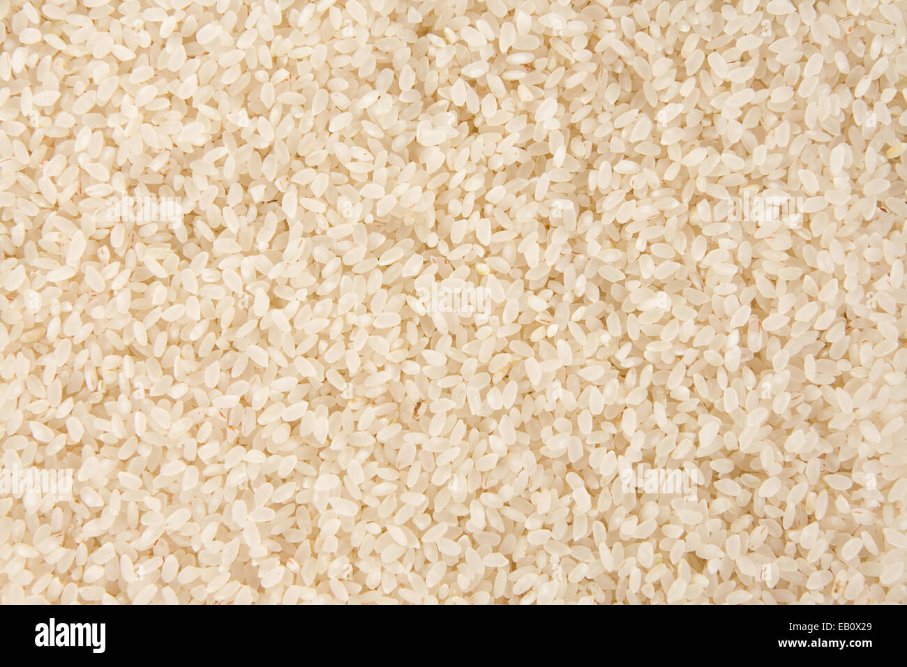 rice raw background Stock Photo - Alamy