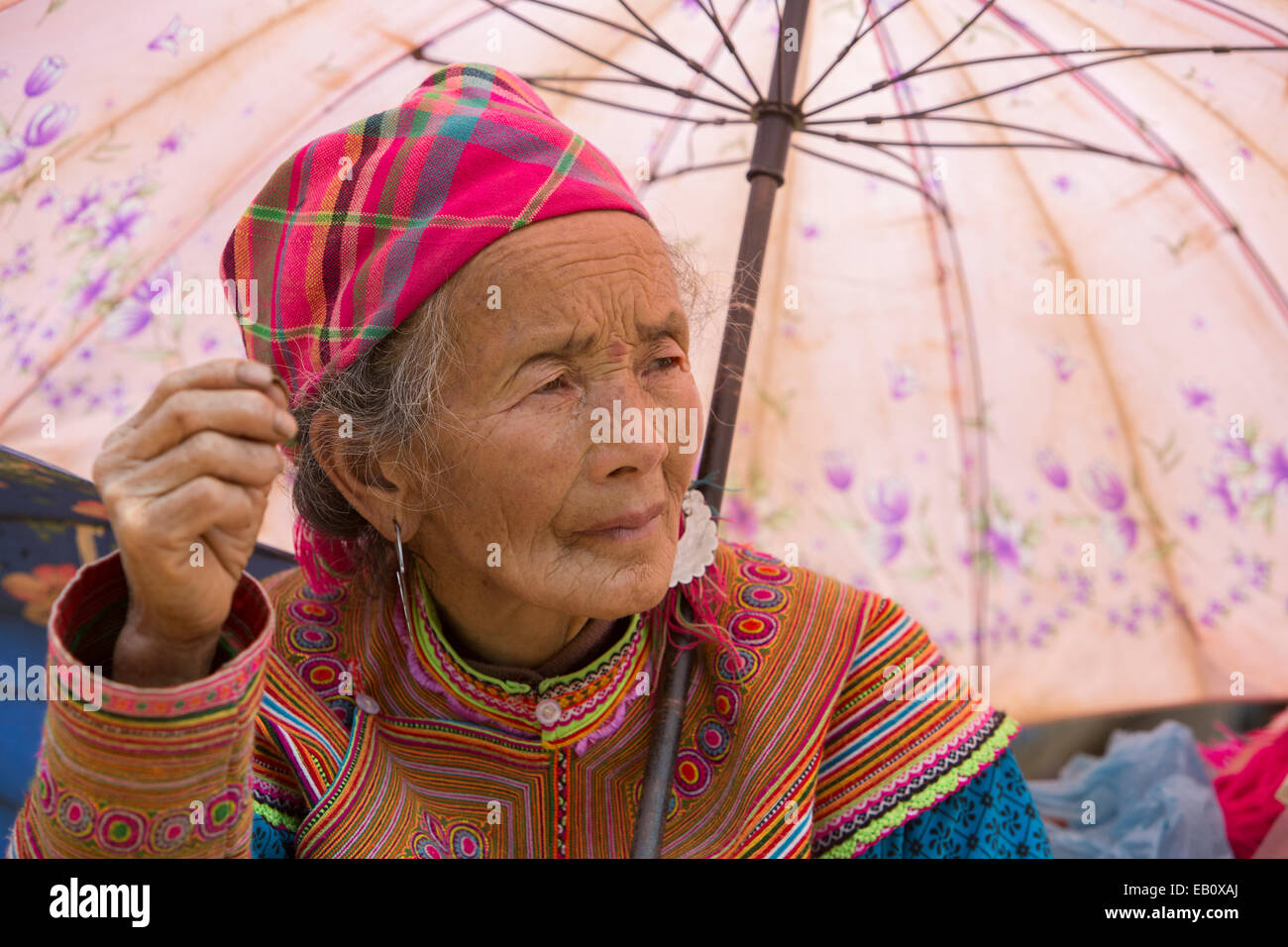 Flower Hmong woman Bac Ha Vietnam Stock Photo