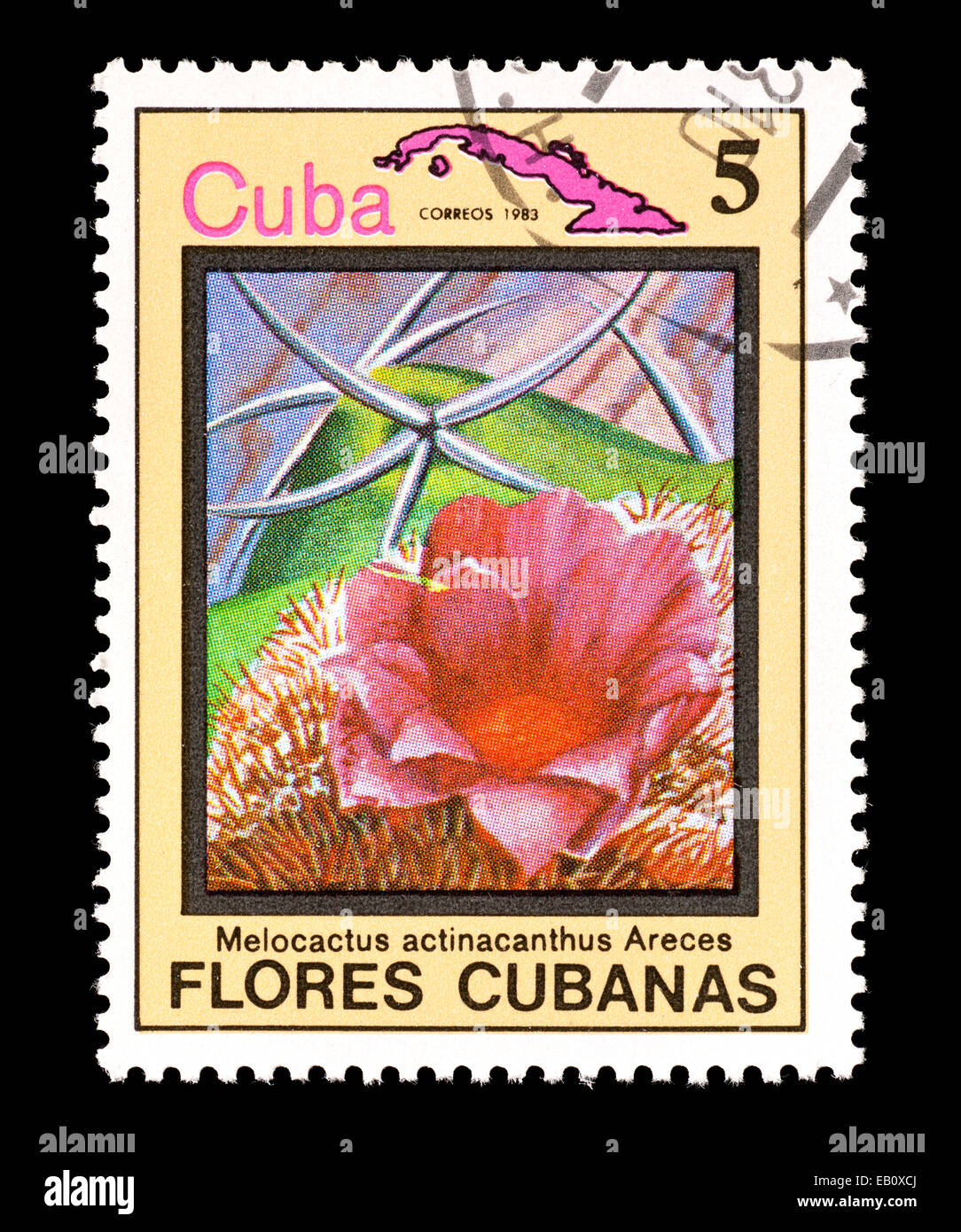 Postage stamp from Cuba depicting a Dwarf Turk's-cap cactus (Melocactus actinacanthus) Stock Photo