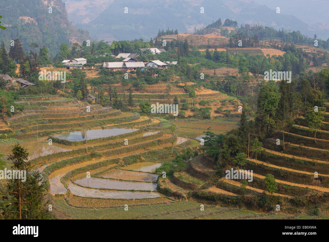 Bac Ha rice terraces in Vietnam Stock Photo - Alamy