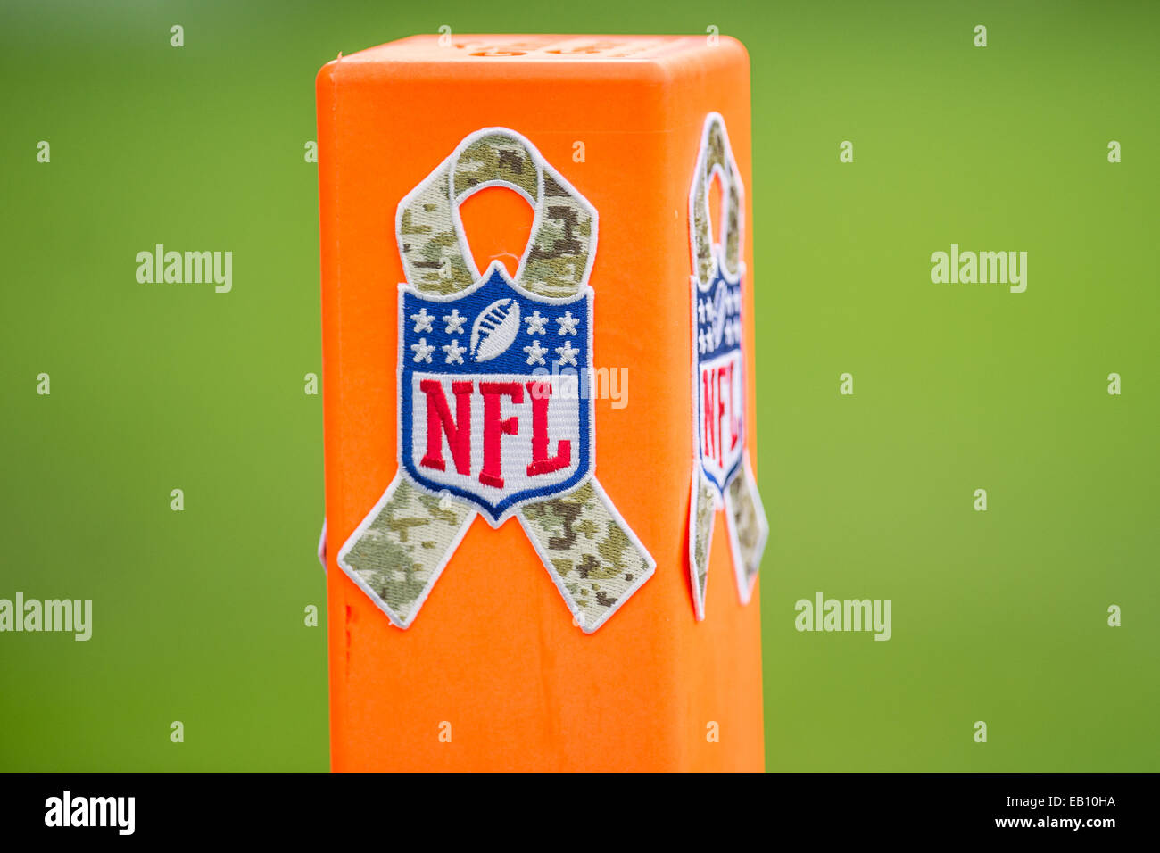 nfl salute to service logo