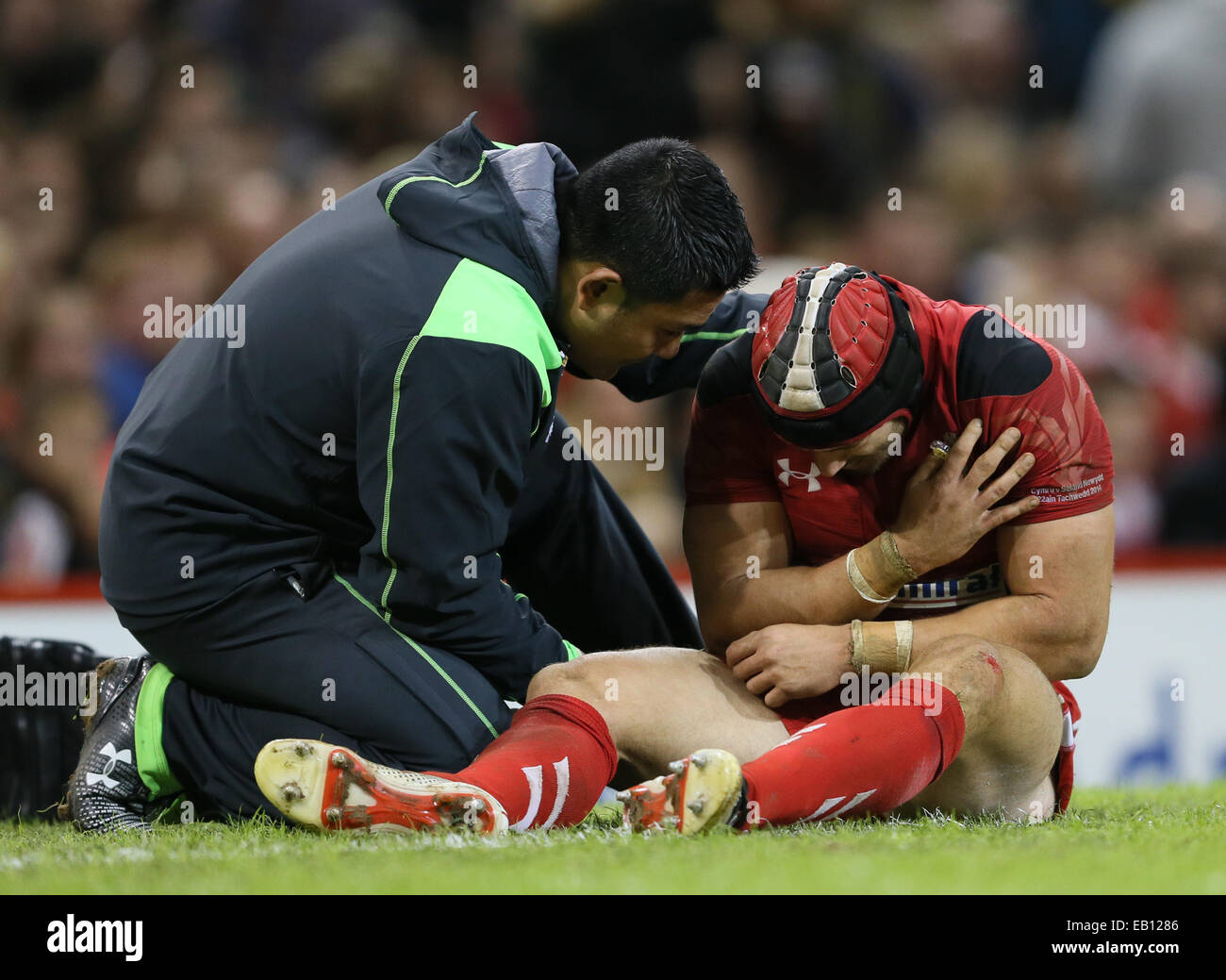 Cardiff, UK. 22nd Nov, 2014. Leigh Halfpenny of Wales injured - Autumn Test Series - Wales vs New Zealand - Millennium Stadium - Cardiff - Wales - 22nd November 2014 - Picture Simon Bellis/Sportimage. © csm/Alamy Live News Stock Photo