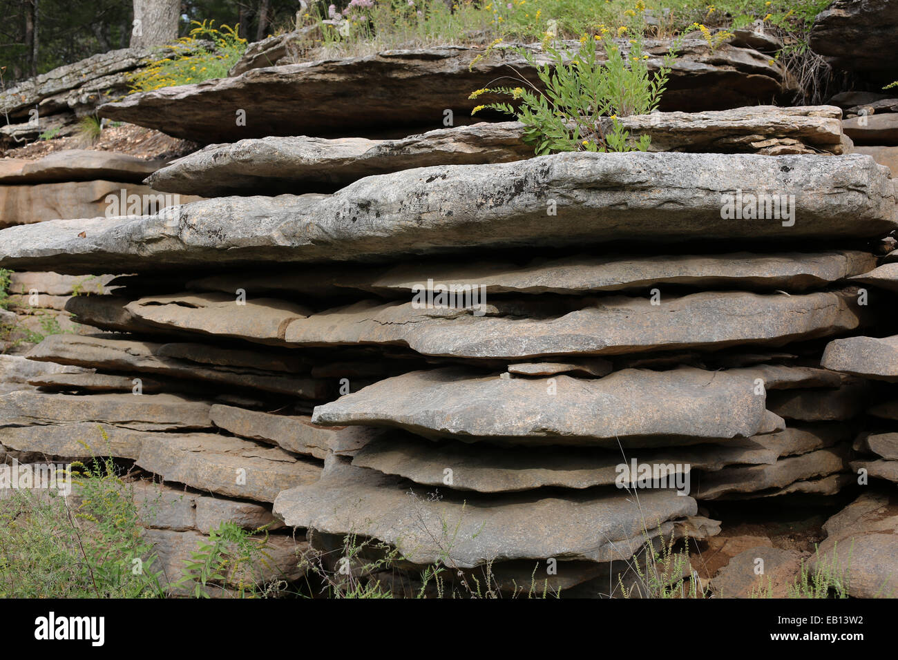 Layered rocks close up in the Ozarks. Stock Photo