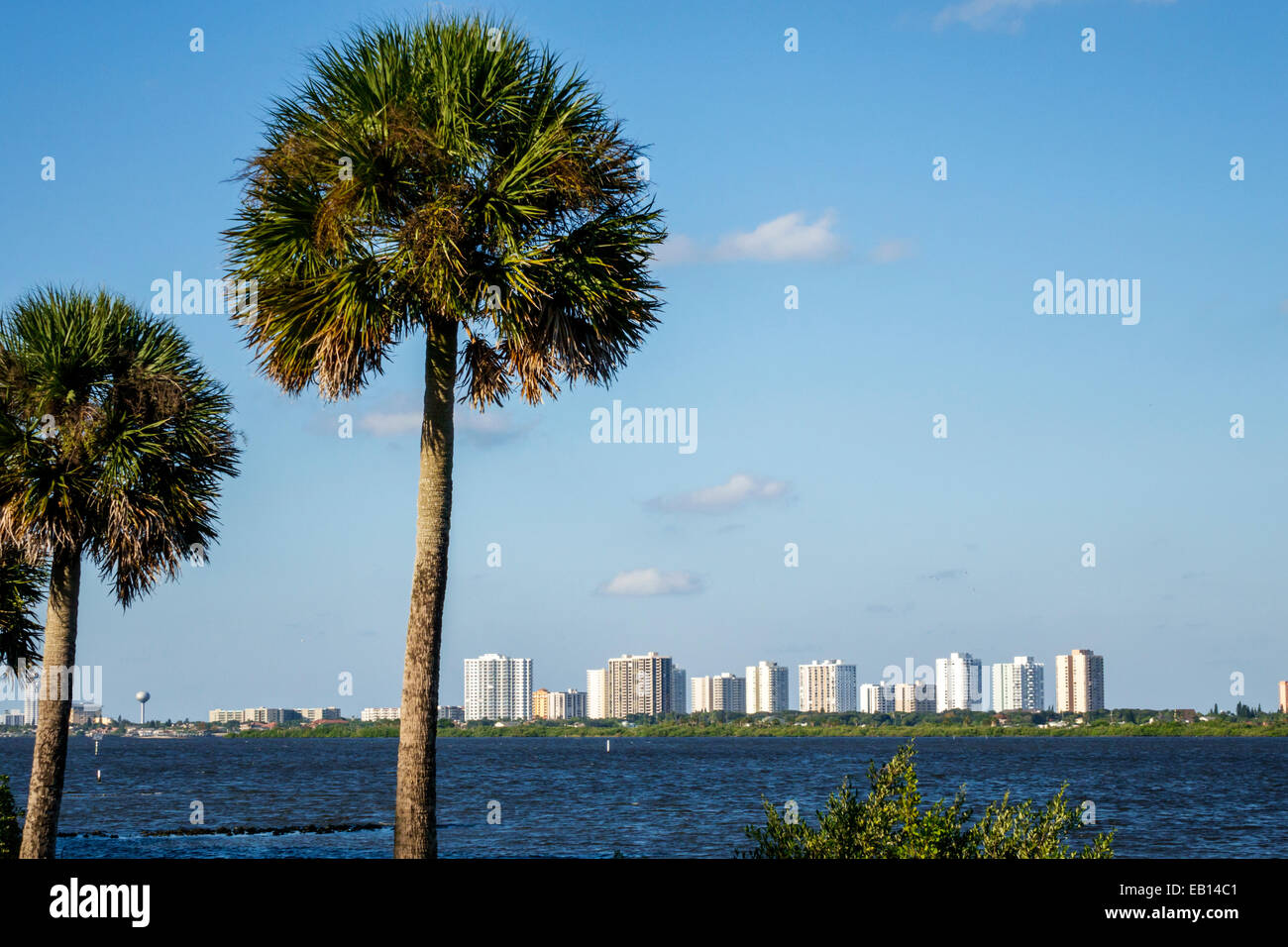Florida Daytona Beach Shores,Halifax River water,sabal cabbage palm