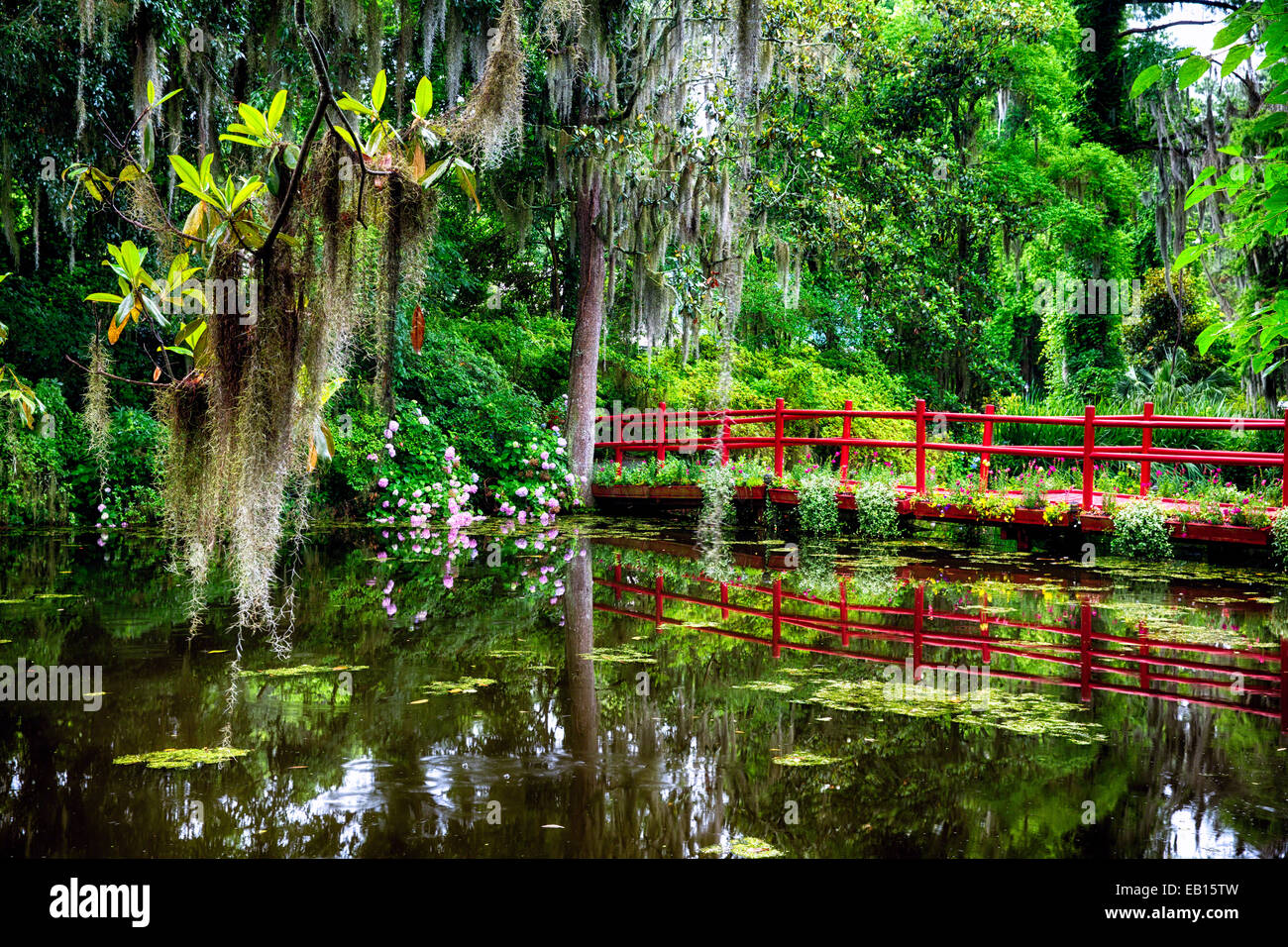View of a Little Red Footbridge  Over a Pond, Magnolia Plantation, Charleston, South Carolina Stock Photo
