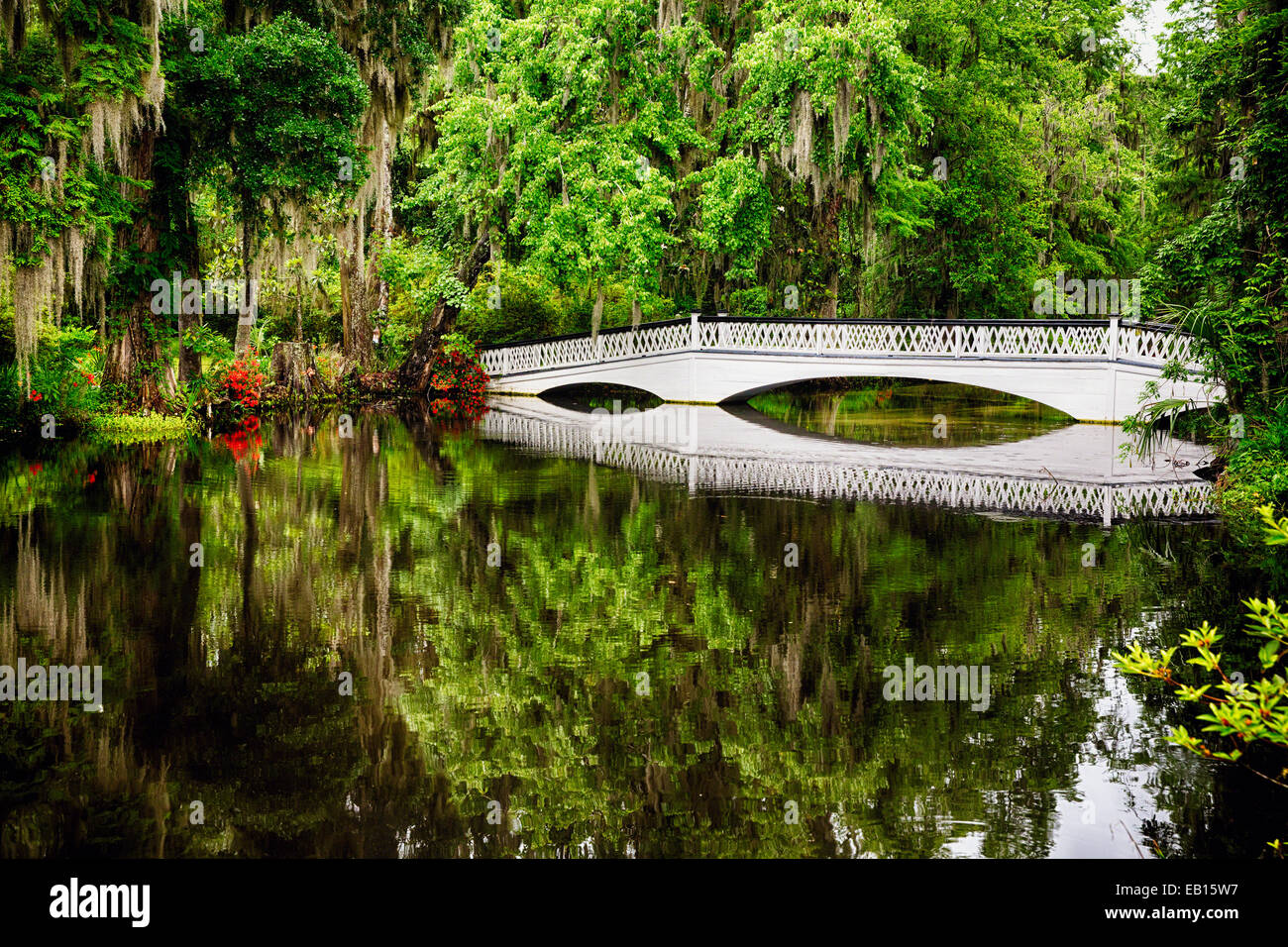 Reflection of a White Wooden Footbridge in a Lake, Magnolia Plantation, Charleston, South Carolina, USA Stock Photo
