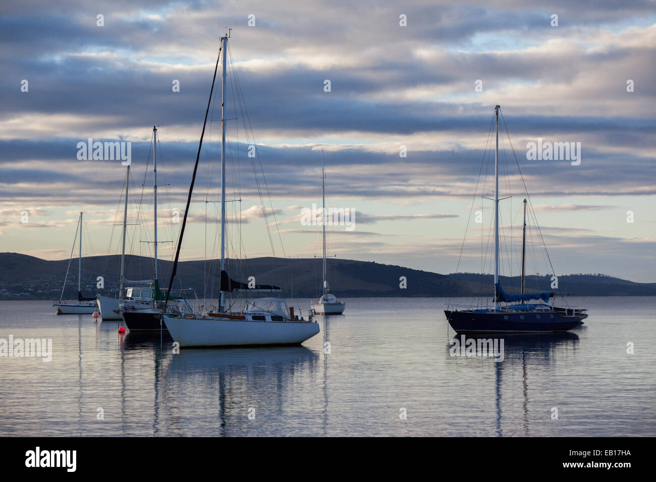 yachts moored on derwent river Stock Photo