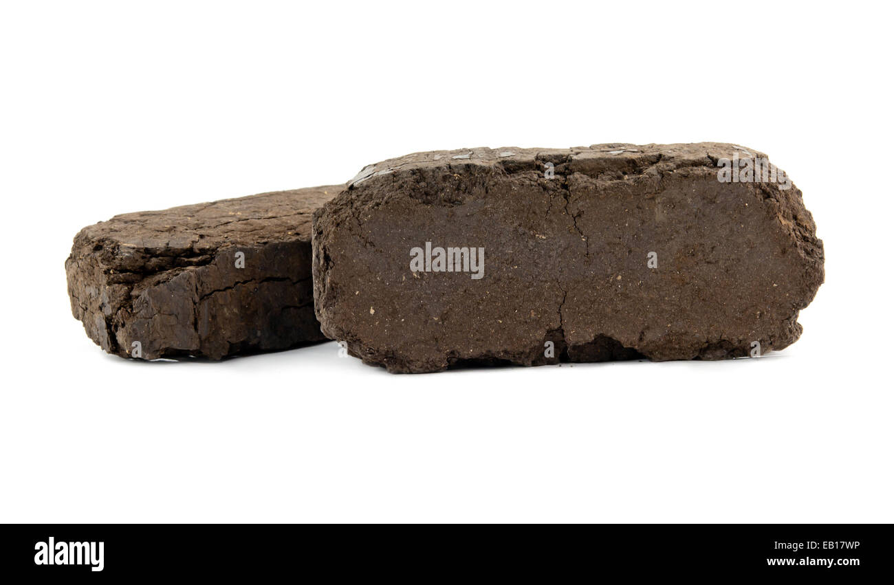 peat fuel blocks for use in an open fire Stock Photo Alamy
