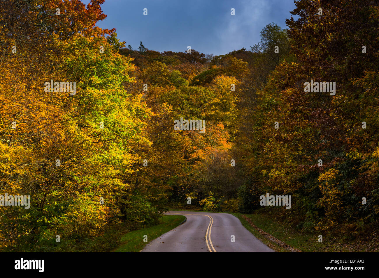 Autumn color along the Blue Ridge Parkway, near Blowing Rock, North Carolina. Stock Photo