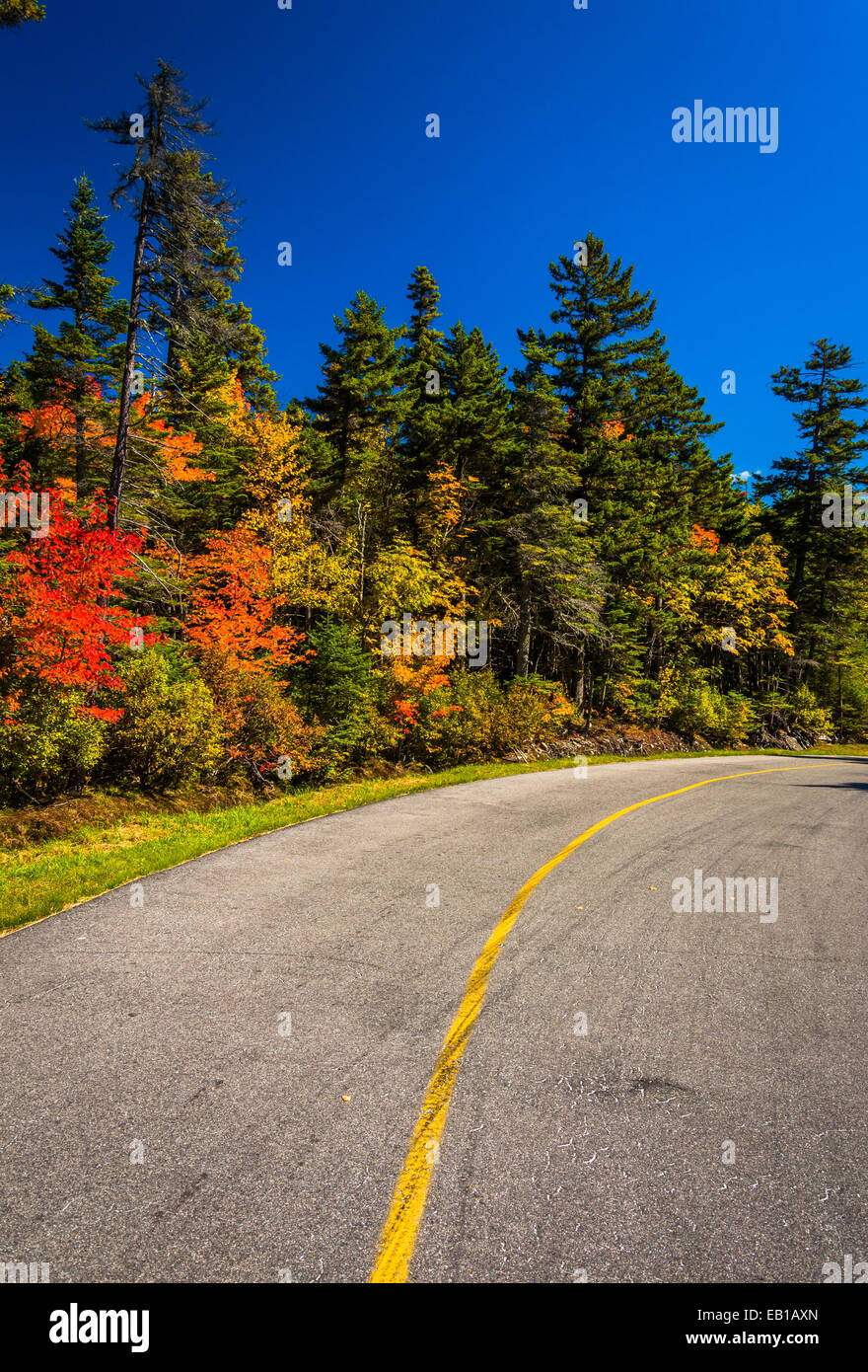 Autumn color along the Mount Washington Auto Road, near Gorham, New Hampshire. Stock Photo