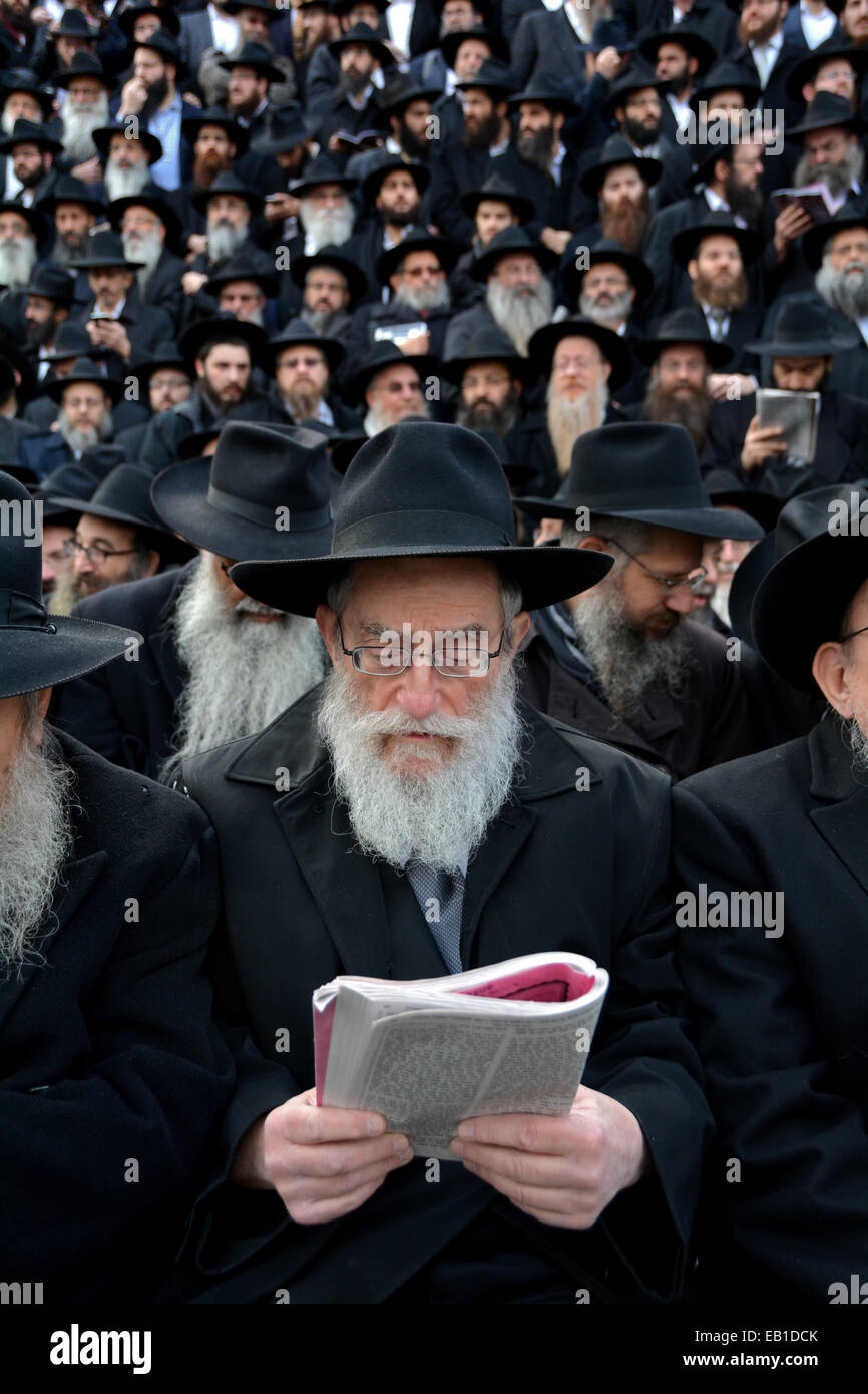 Orthodox rabbi studying jewish hi-res stock photography and images - Alamy
