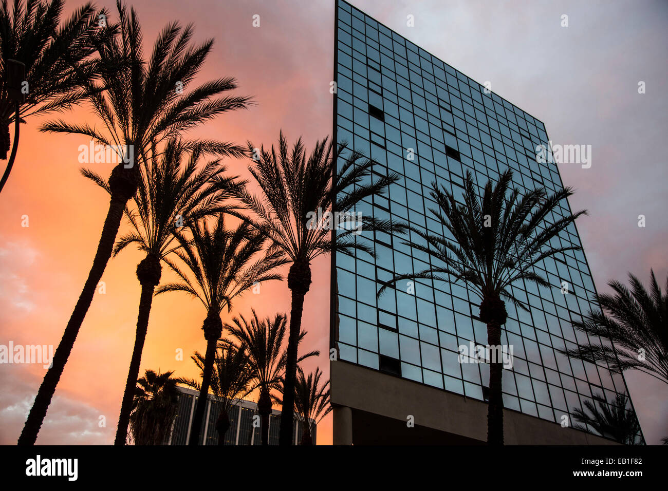 Modern Glass Office Building, Downtown Los Angeles, California, USA
