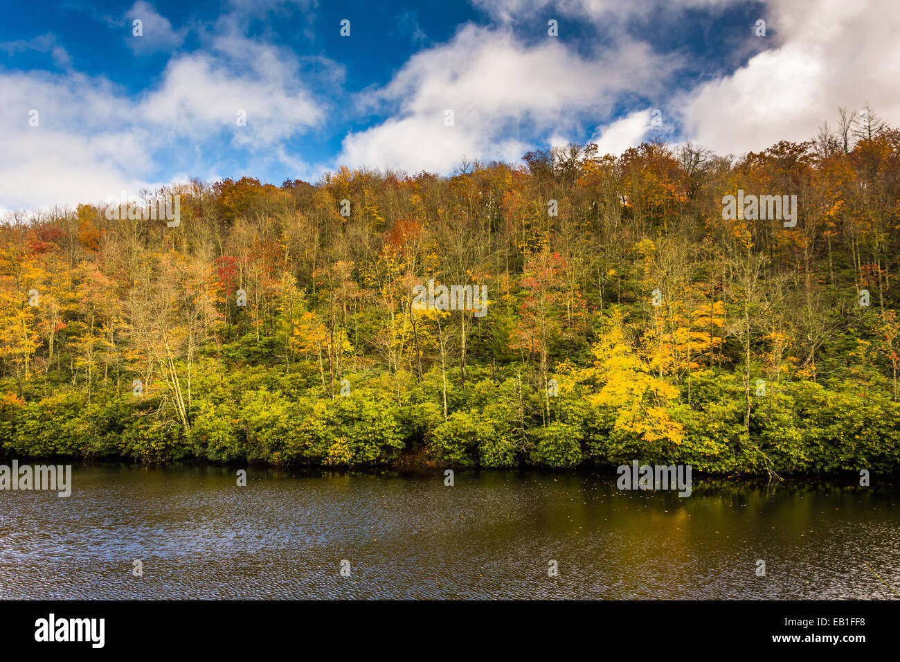 Autumn color and pond at Julian Price Park, near Blowing Rock, North Carolina. Stock Photo
