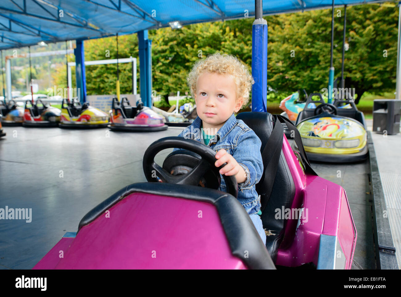 a little boy driving a bumper car at the carnival Stock Photo Alamy