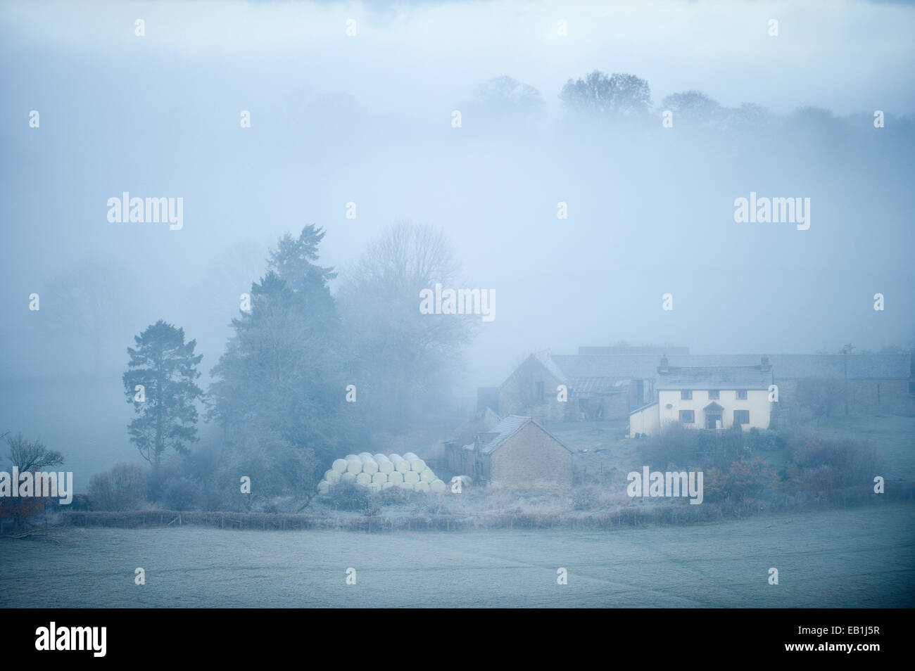 Powys, Wales, UK. 24th November 2014. After a cold night with temperatures dropping below zero the morning breaks to frost and mist in the valleys. Credit:  Graham M. Lawrence/Alamy Live News Stock Photo