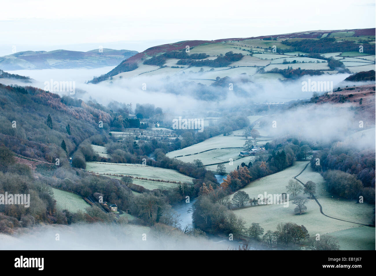 Wye Valley, Powys, UK. 24th November 2014. After a cold night with temperatures dropping below zero the morning breaks to frost and mist in the valleys. Credit:  Graham M. Lawrence/Alamy Live News Stock Photo