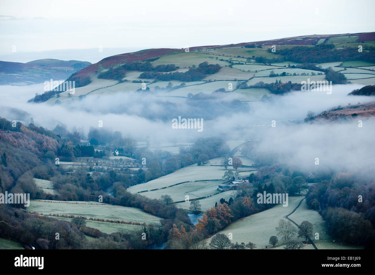 Wye Valley, Powys, UK. 24th November 2014. After a cold night with temperatures dropping below zero the morning breaks to frost and mist in the valleys. Credit:  Graham M. Lawrence/Alamy Live News Stock Photo