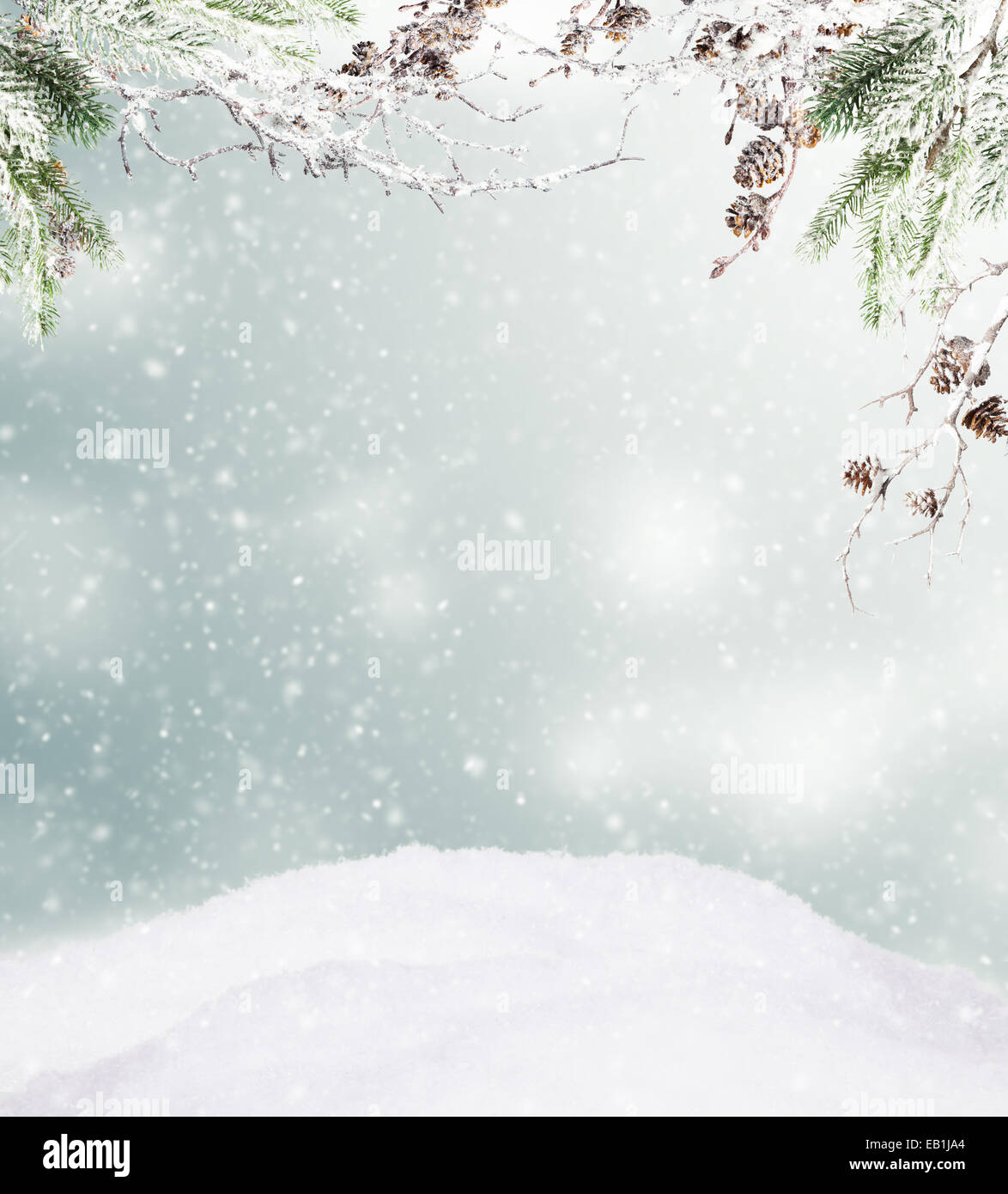 Snowy winter hill with spruce branches and free space for text Stock Photo