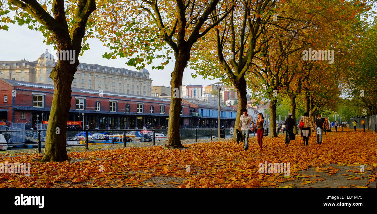Bristol, England - October 31st, 2014: Golden autumn leaves fall on Narrow Quay besides the Floating Dock area of Bristol. Stock Photo