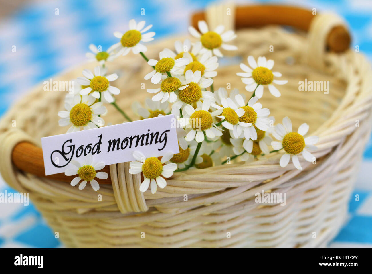Good morning card with fresh chamomile flowers in wicker basket ...
