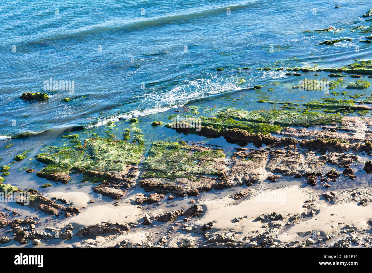 Low tide in Santa Barbara, California exposes beautiful tide pools and