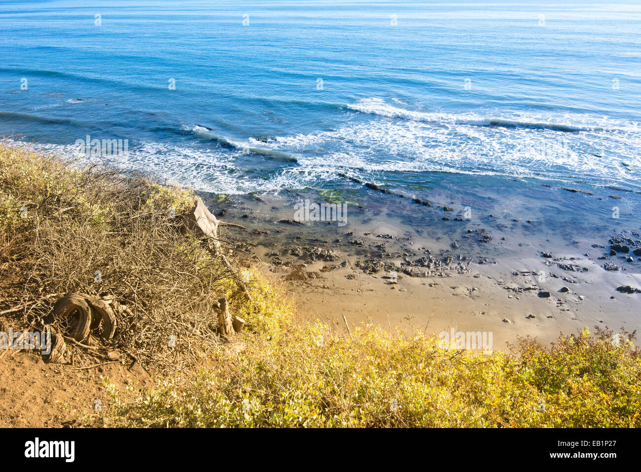 View of beach and reef in Santa Barbara, California from behind colorful foliage on a cliff. Stock Photo
