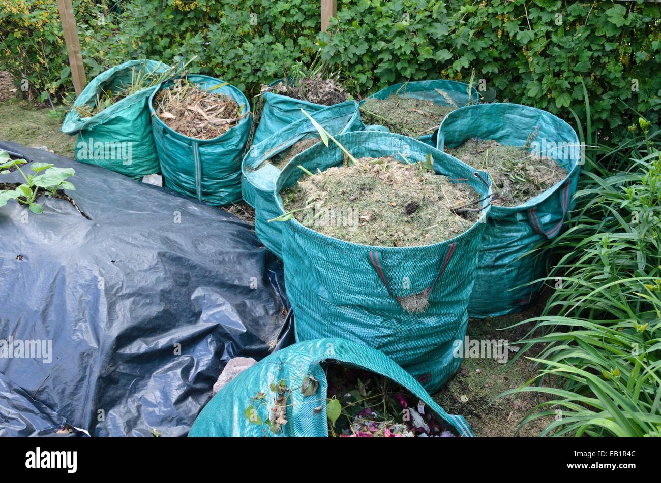 Bags with garden debris Stock Photo