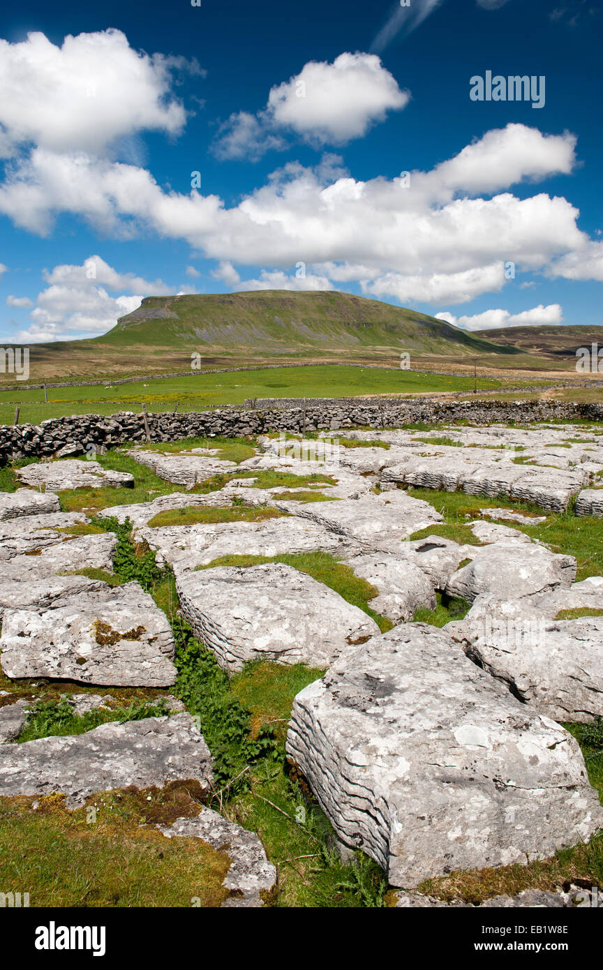 Limestone outcrop with Penyghent in the background, on a summers day